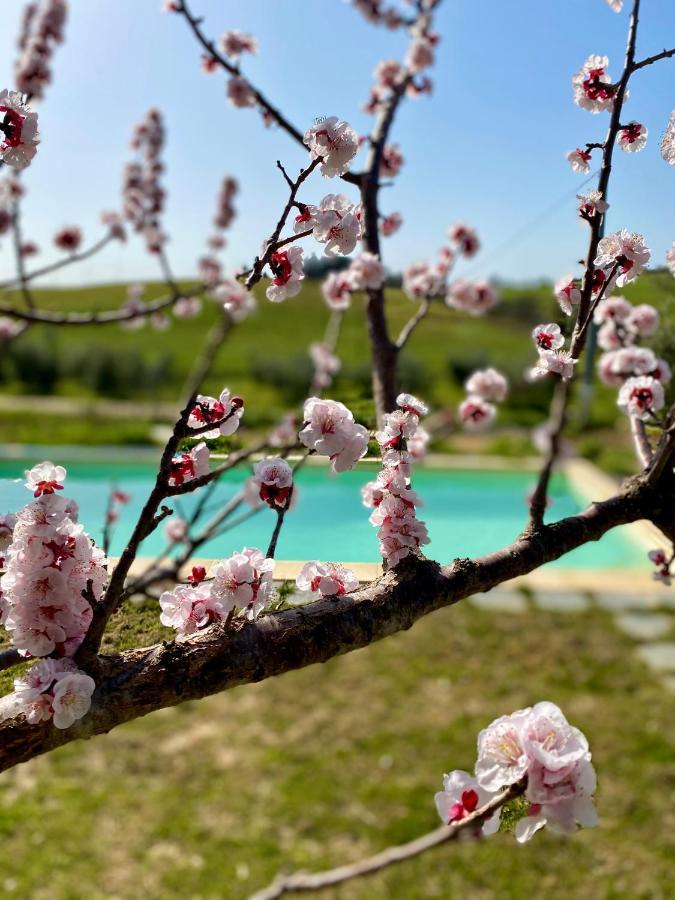 B&B Monte Di Bu Bagno Roselle Eksteriør billede