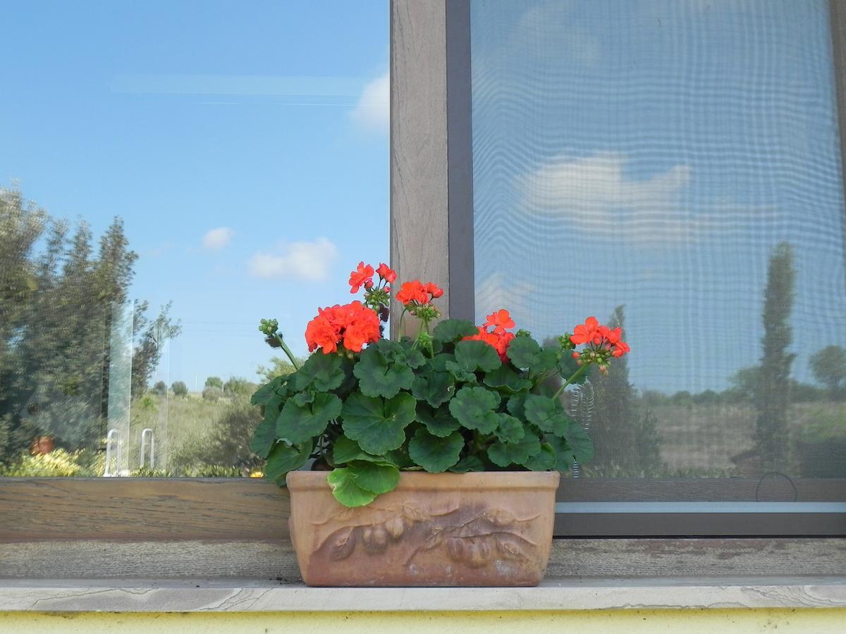 B&B Monte Di Bu Bagno Roselle Eksteriør billede