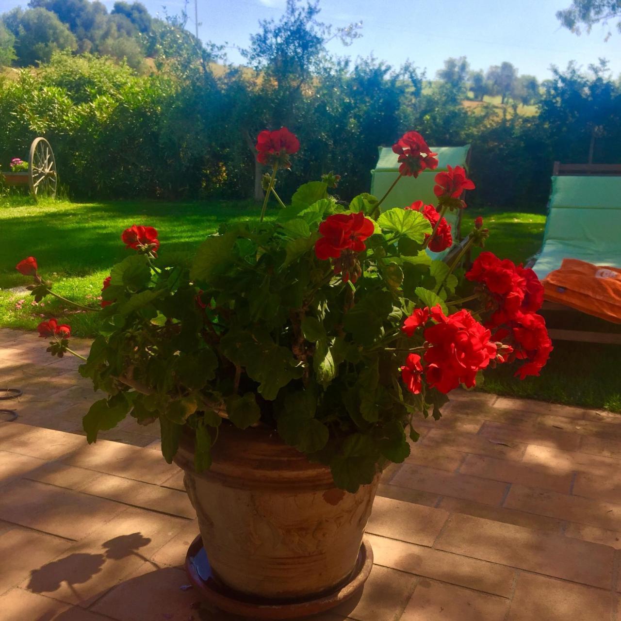 B&B Monte Di Bu Bagno Roselle Eksteriør billede